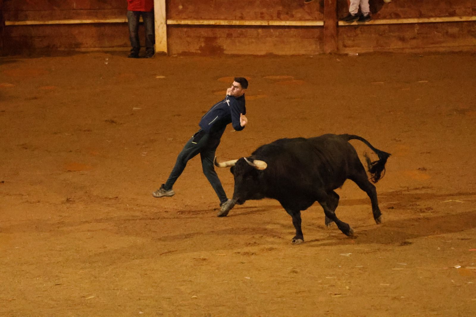 Capea Nocturna del Viernes en Ciudad Rodrigo