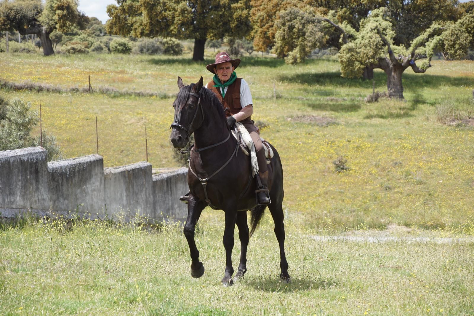 whatsapp-image-2024-05-19-at-14-19-45-2