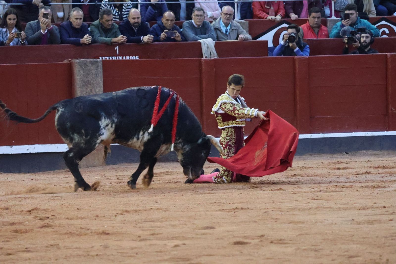 20230921192239-img-8351