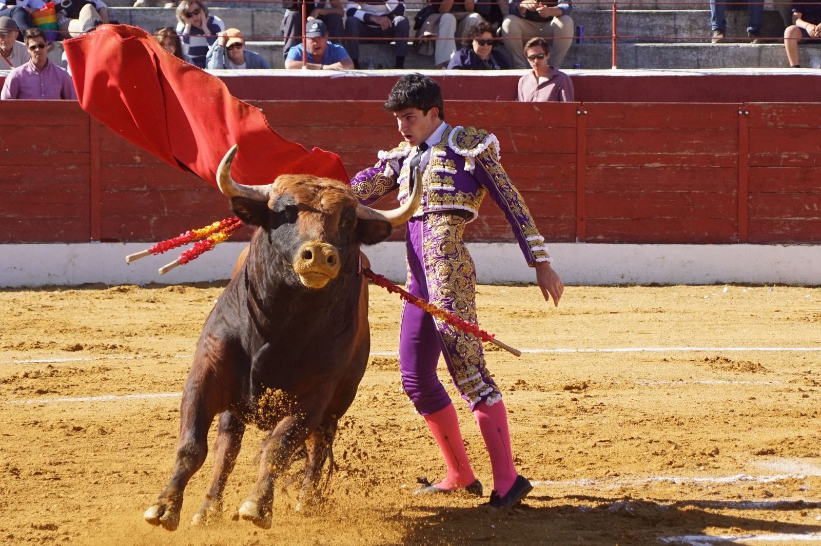 novillada-con-picadores-en-villoria-27