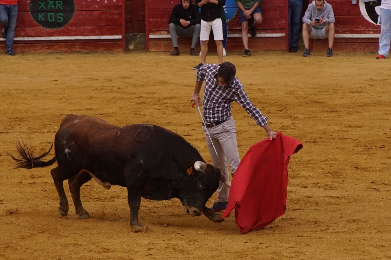 cbd7d013-fc5f-4dbc-ac39-bf0f3b29083c