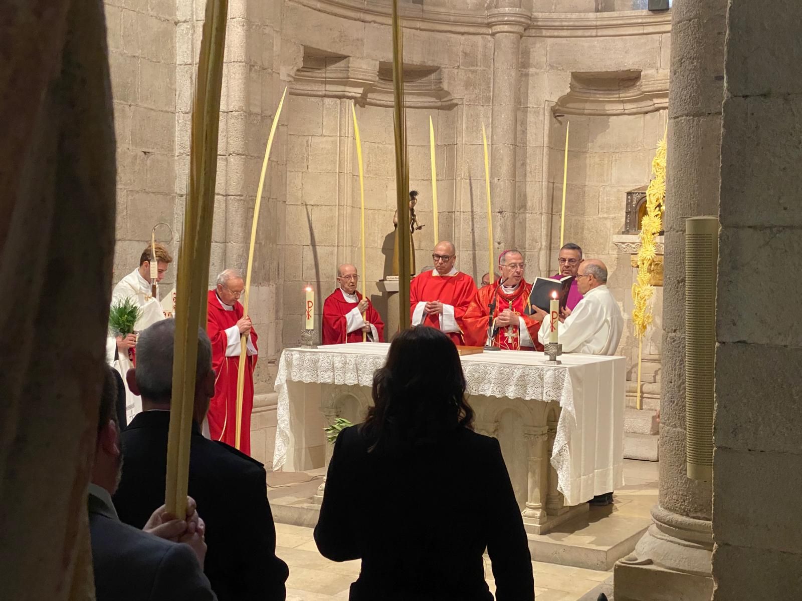 GALERÍA | Zamora celebra la bendición de palmas en este Domingo de Ramos