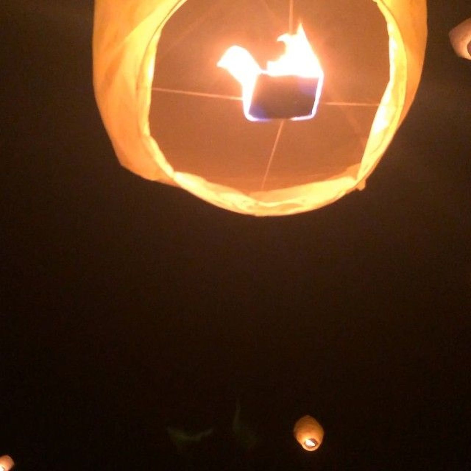 colegio-maria-auxiliadora-especial-ensenanza-2021-38