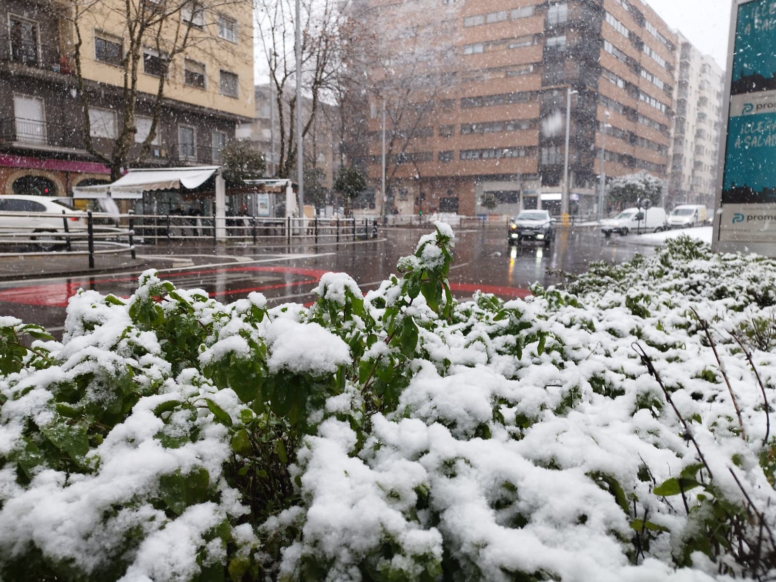 whatsapp-image-2023-02-23-at-10-48-35-1