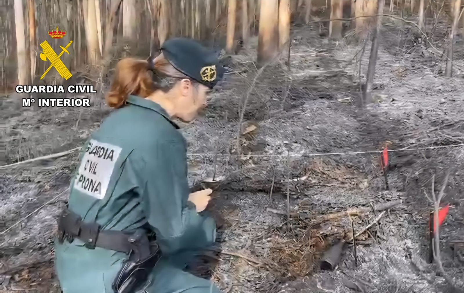 Investigan el incendio producido en el Bierzo