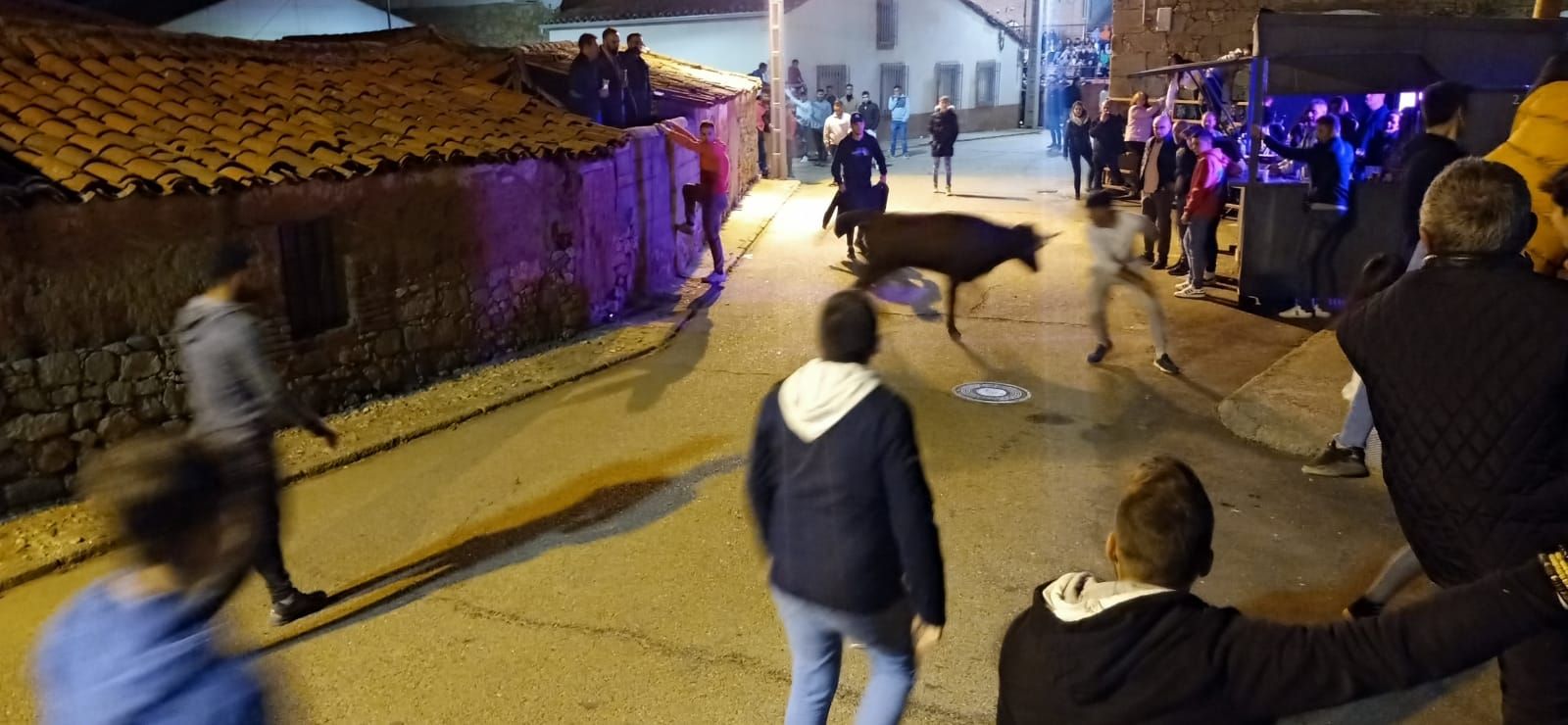 suelta-nocturna-de-vaquillas-durante-las-fiestas-patronales-de-cabrillas-3