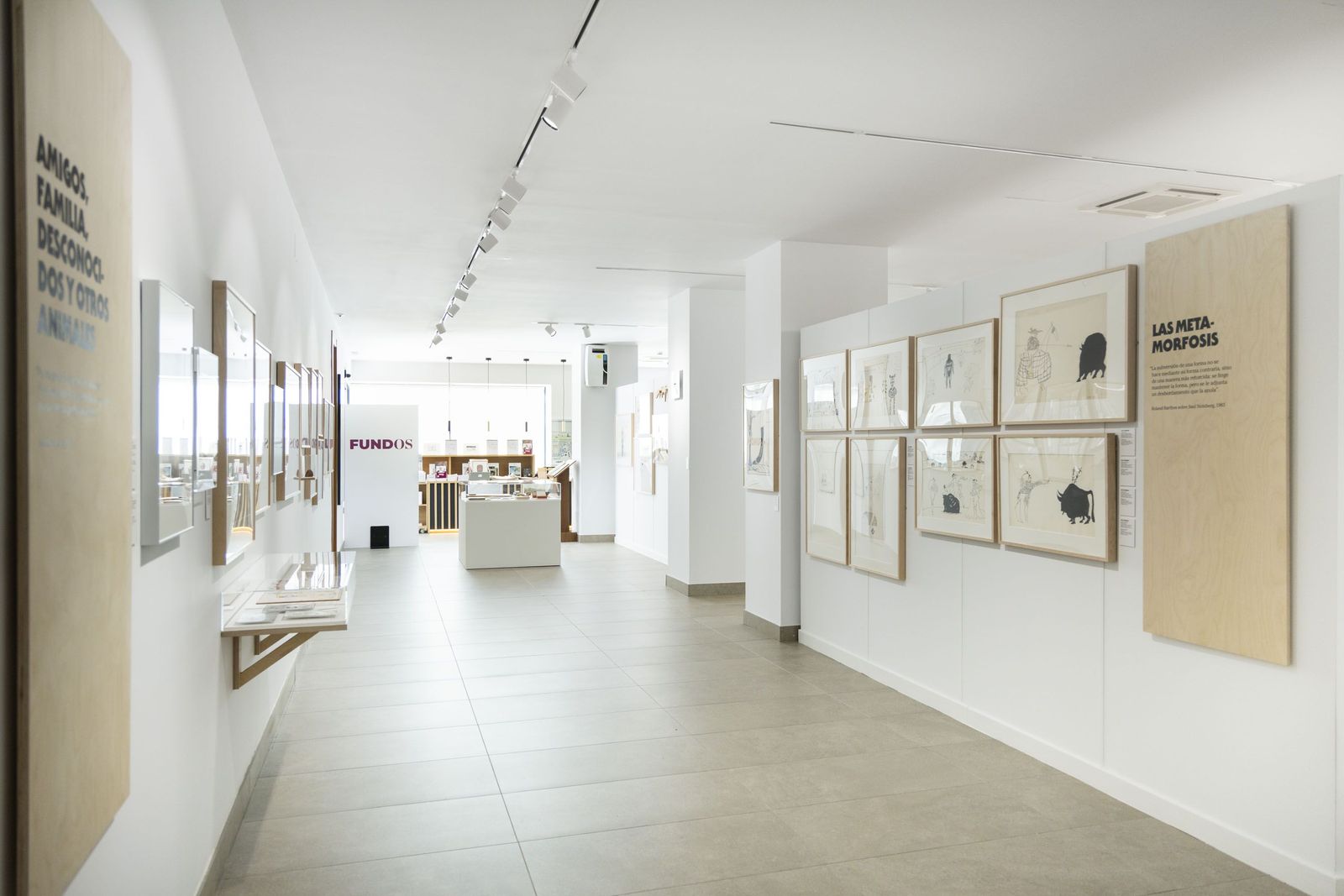 Exposición Steinberg Salamanca. Foto