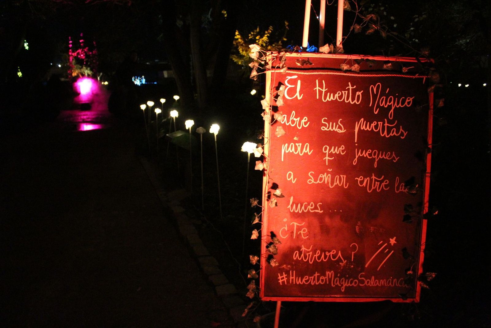 20231204212426-img-6403