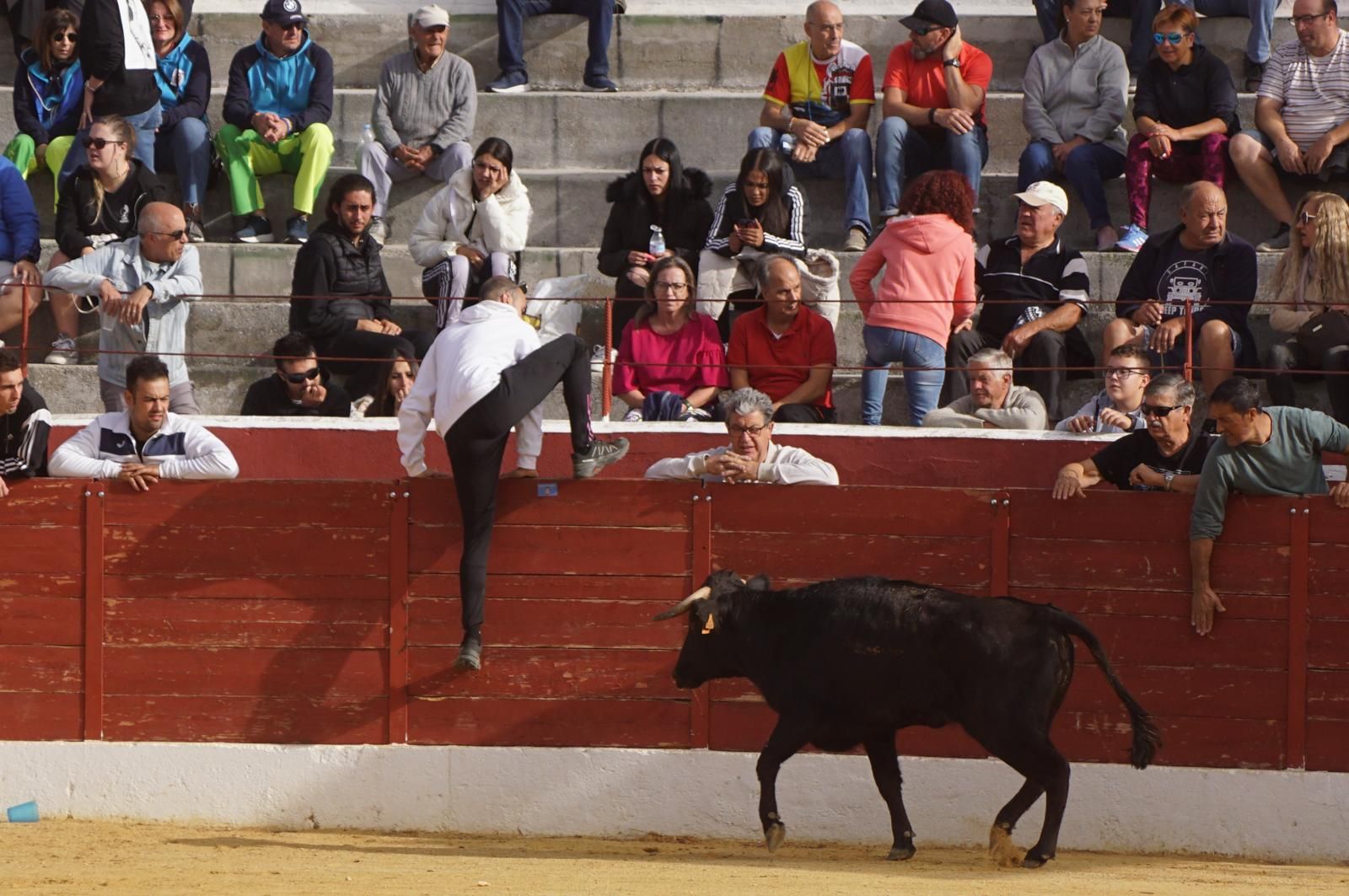 whatsapp-image-2024-09-08-at-14-05-18