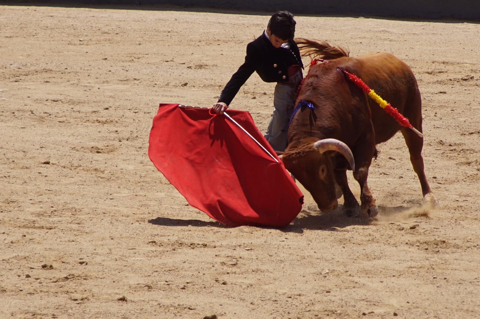 marco-perez-estreno-de-oro-en-las-ventas-14