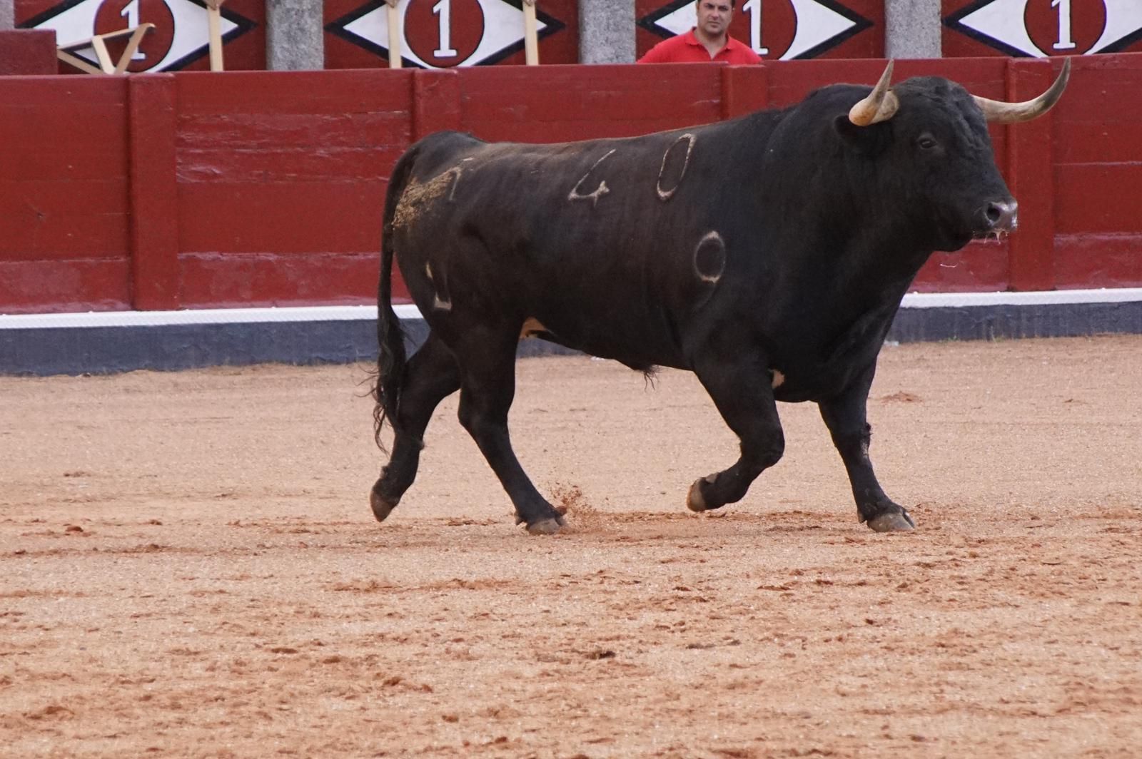 whatsapp-image-2023-09-08-at-19-29-36