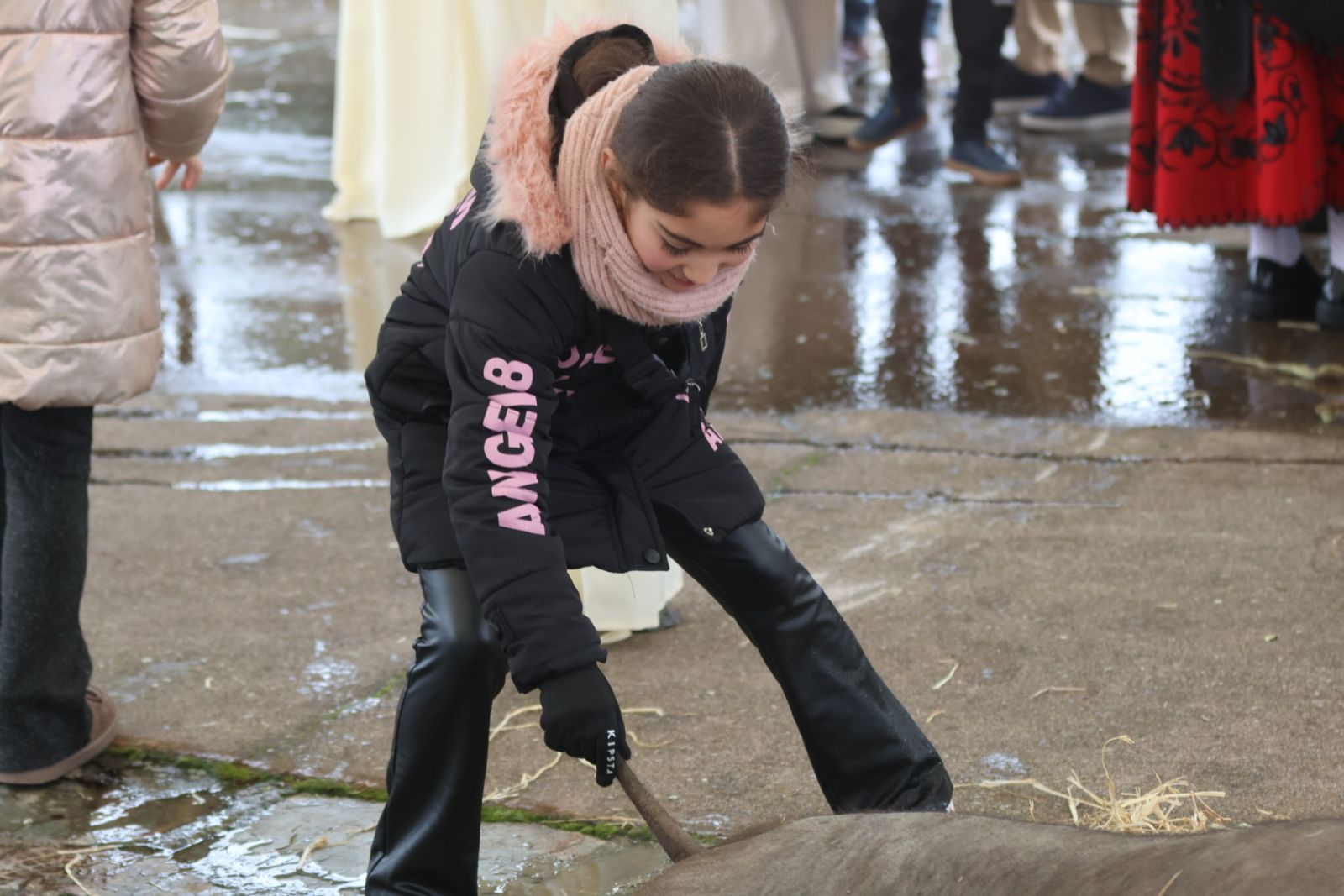 Matanza Típica de Guijuelo
