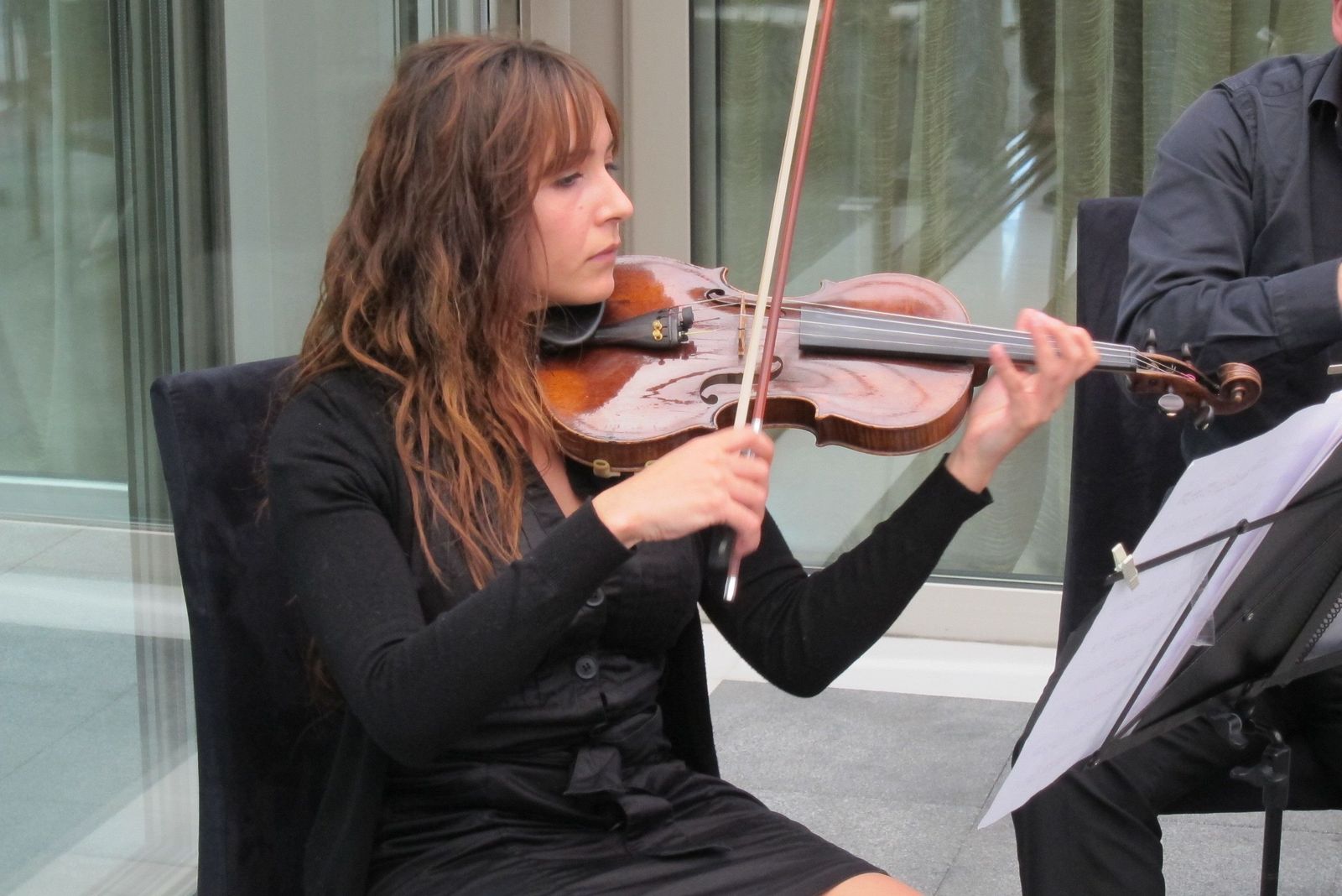 Una Mujer Tocando El Violín