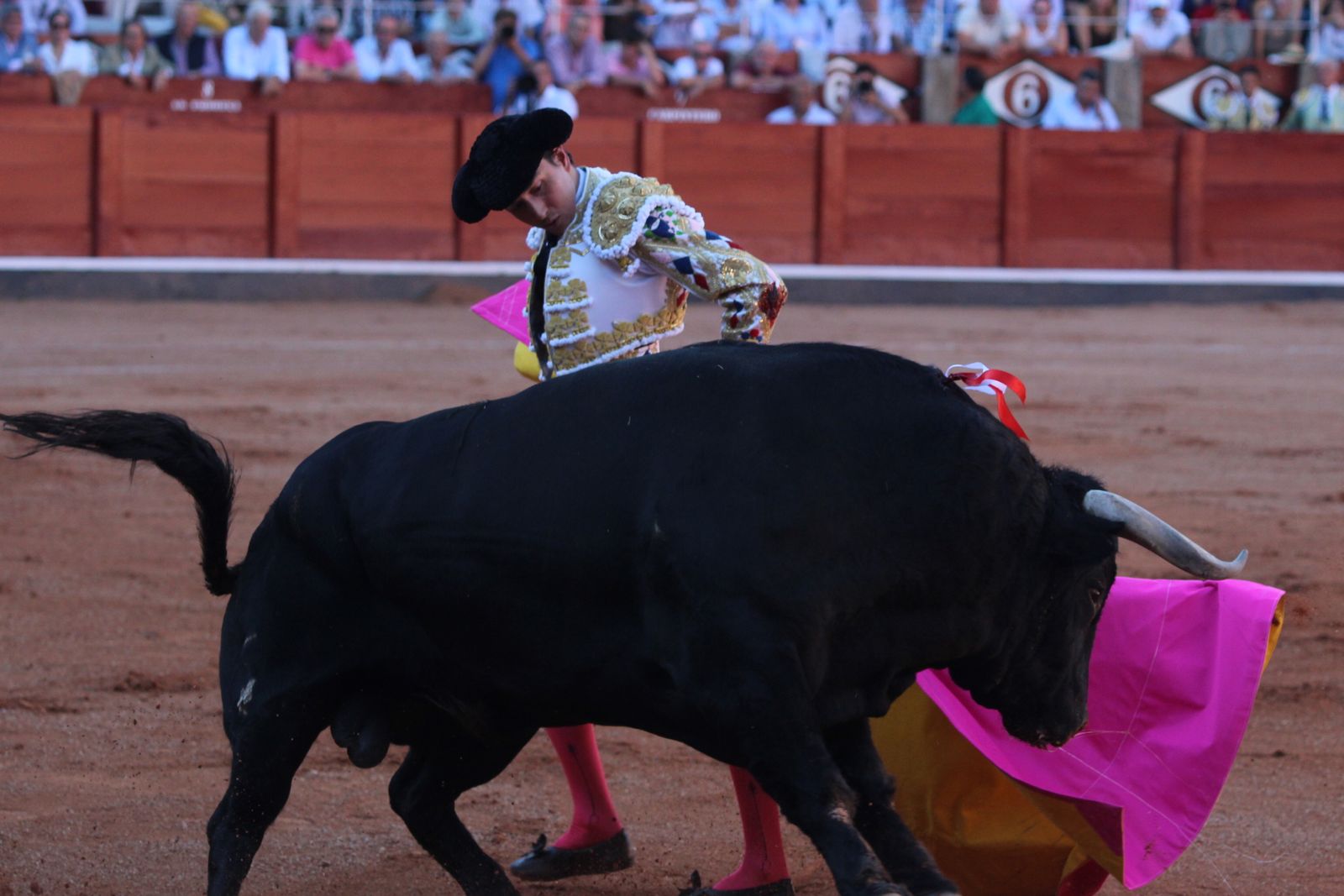 Emilio de Justo, Juan Ortega y Roca Rey inauguran el cartel de figuras en la feria de Salamanca: la corrida de Garcigrande en imágenes
