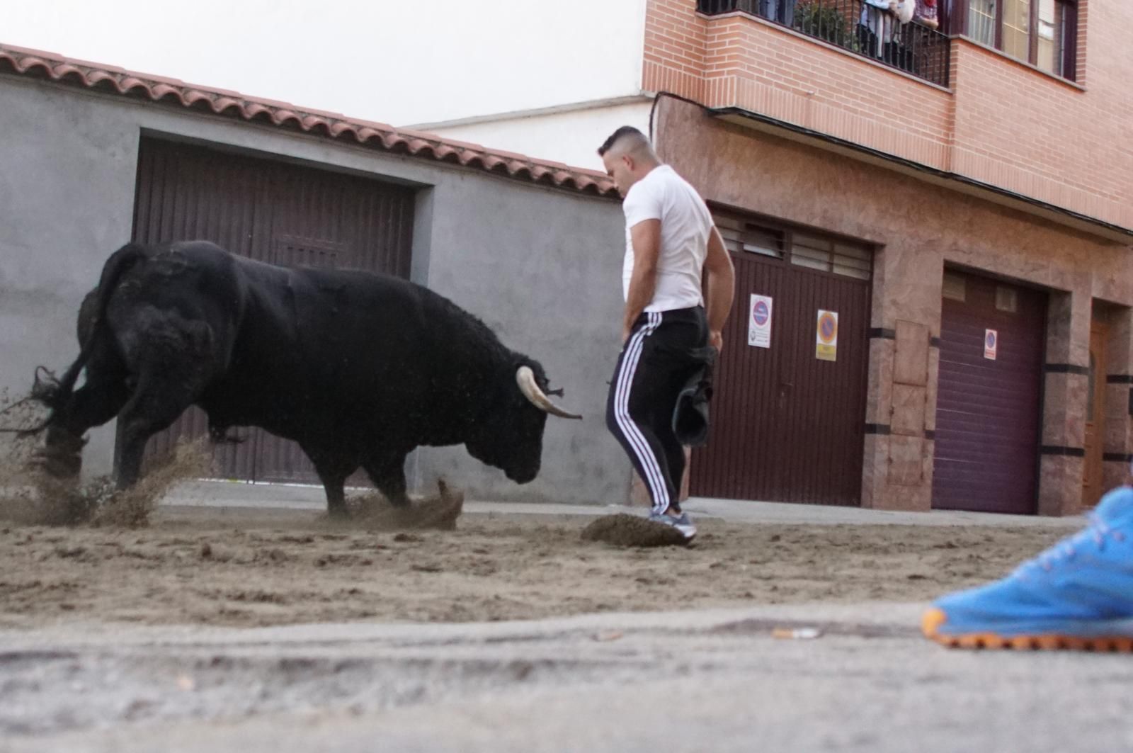 Toro del cajón y capea en Alba de Tormes