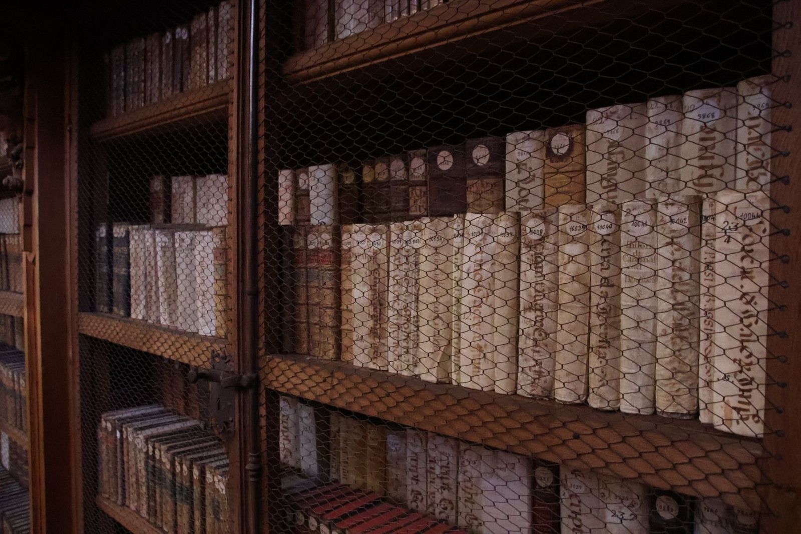 20231005104046-img-1263