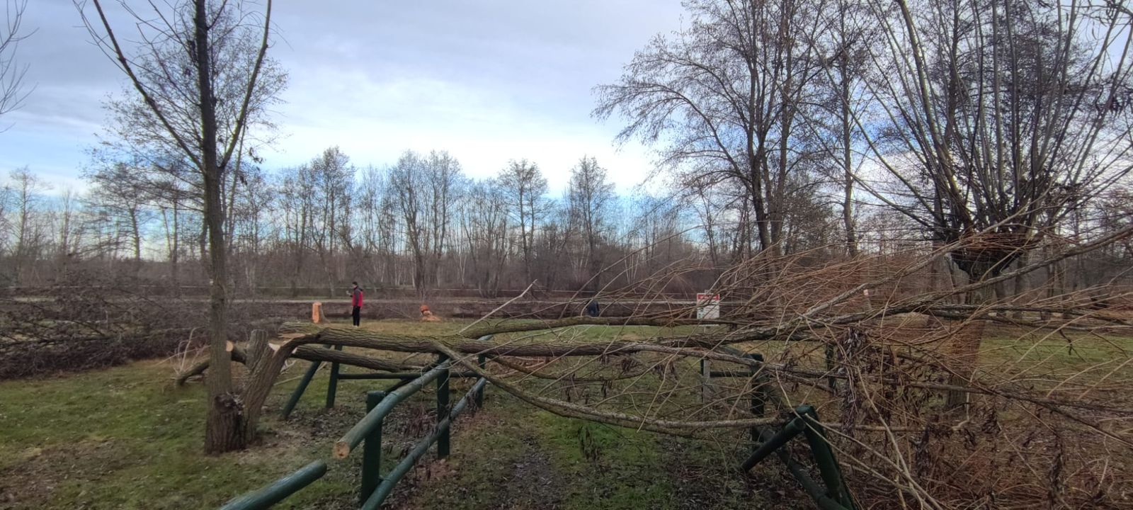 Imagen de los destrozos realizados en la localidad