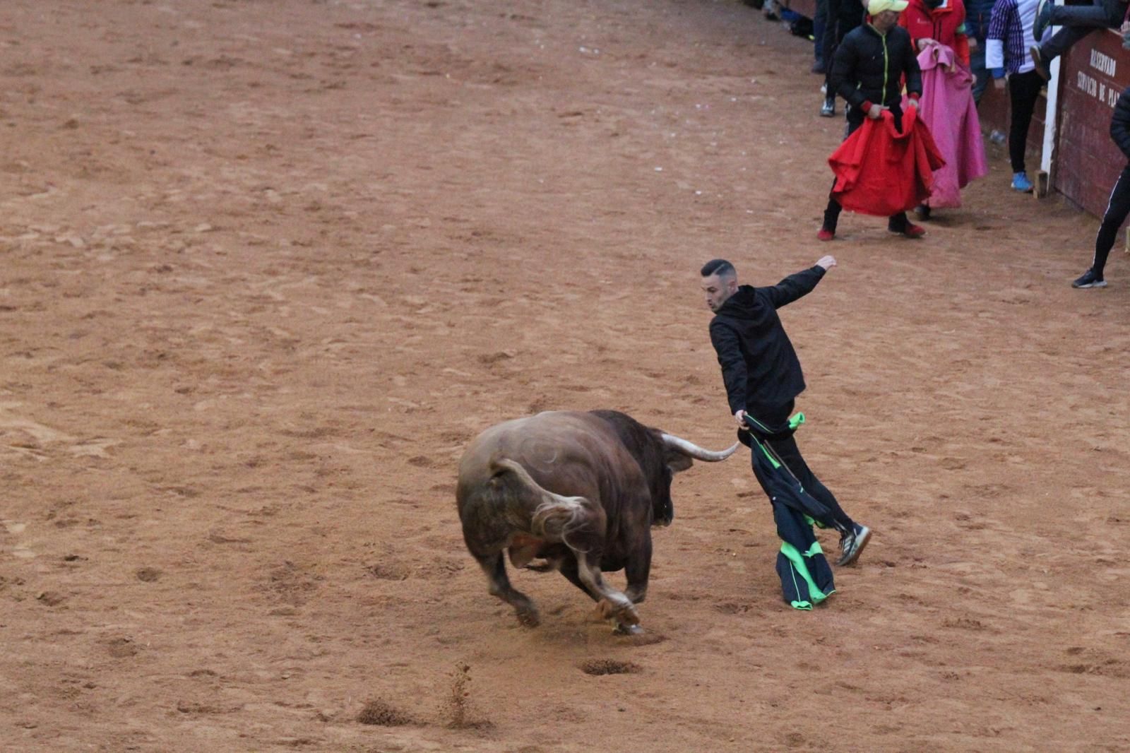 ambiente-y-capea-vespertina-sabado-de-carnaval-en-ciudad-rodrigo-2025-fotos-belen-hurtado-52