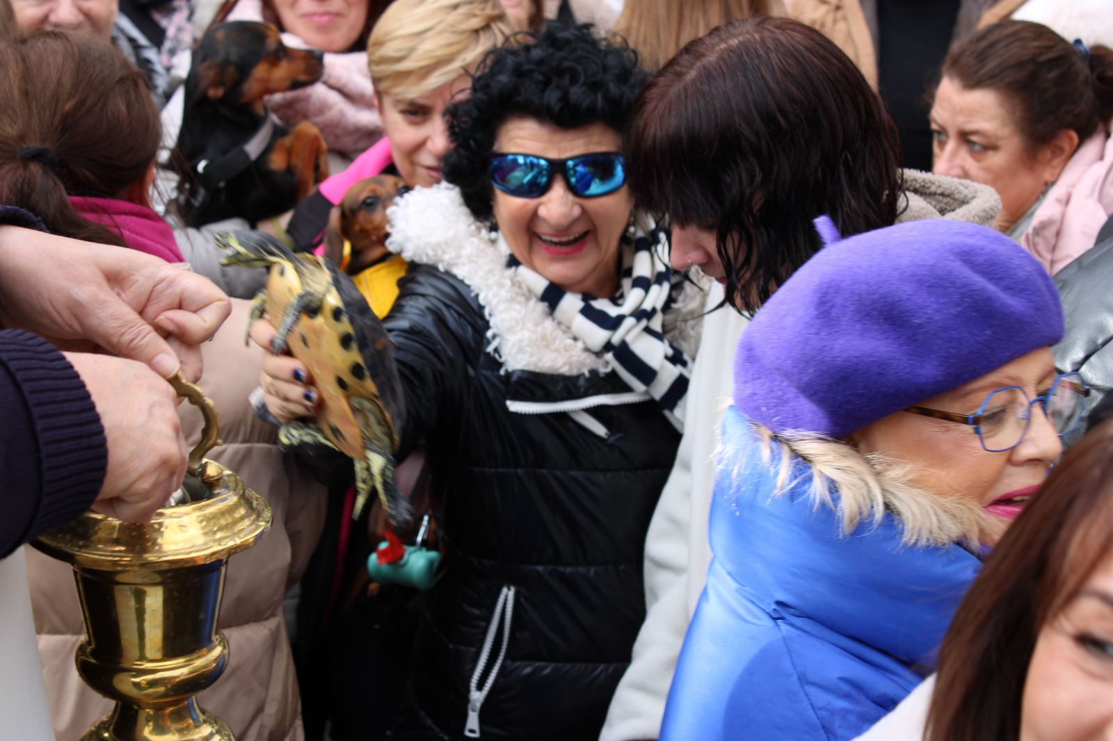 san-anton-bendicion-de-animales-2024-foto-s24h-74