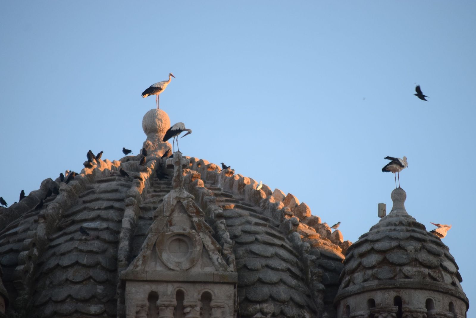 festival-internacional-de-folklore-20