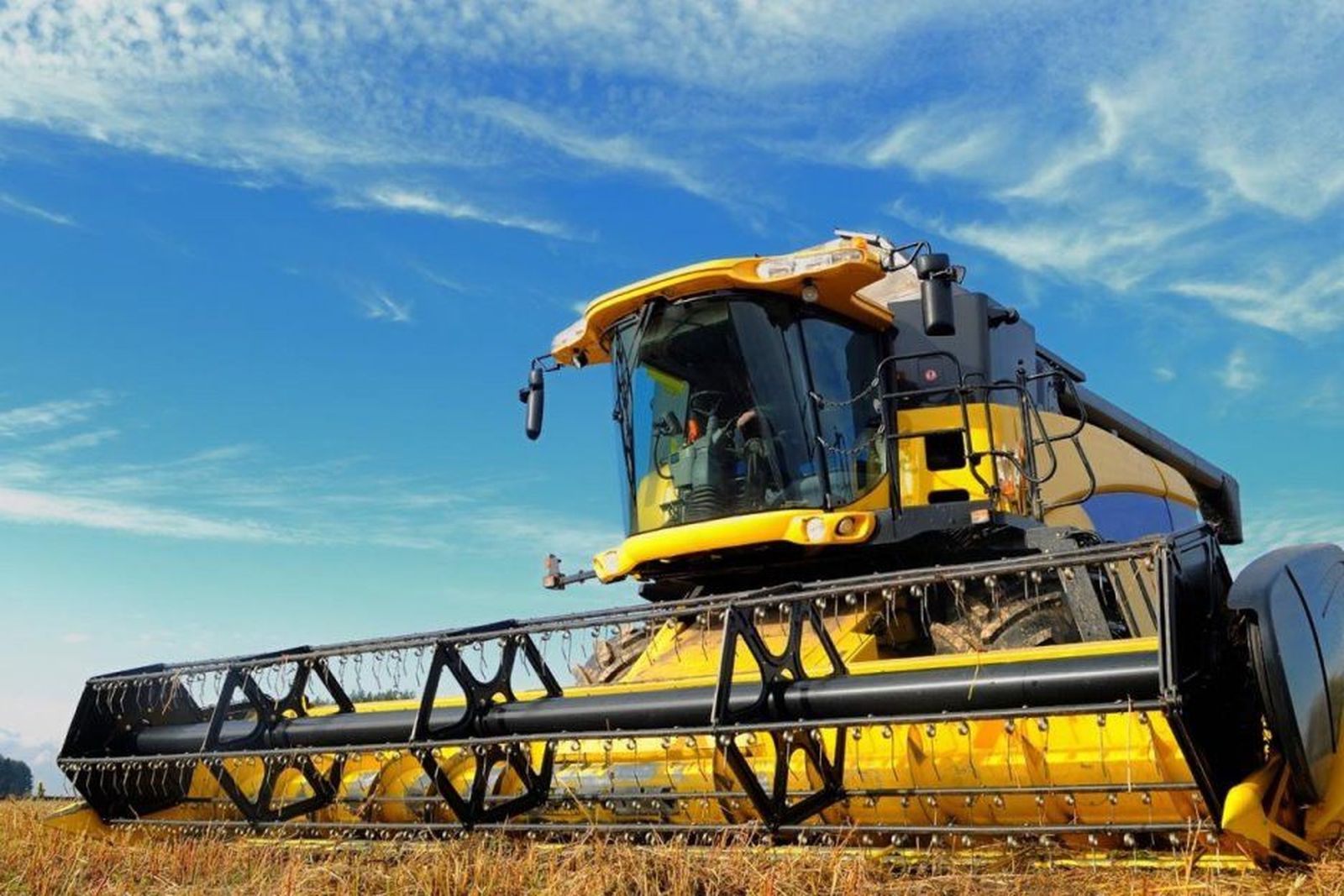 Diario actualizado   b  5aa86474a3af7 (1)