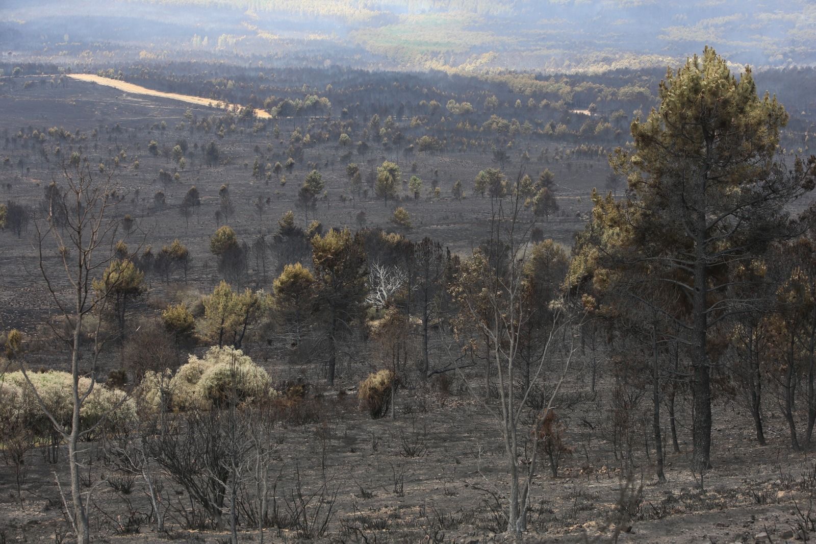 Las desoladoras imágenes de la Sierra de la Culebra tras el incendio