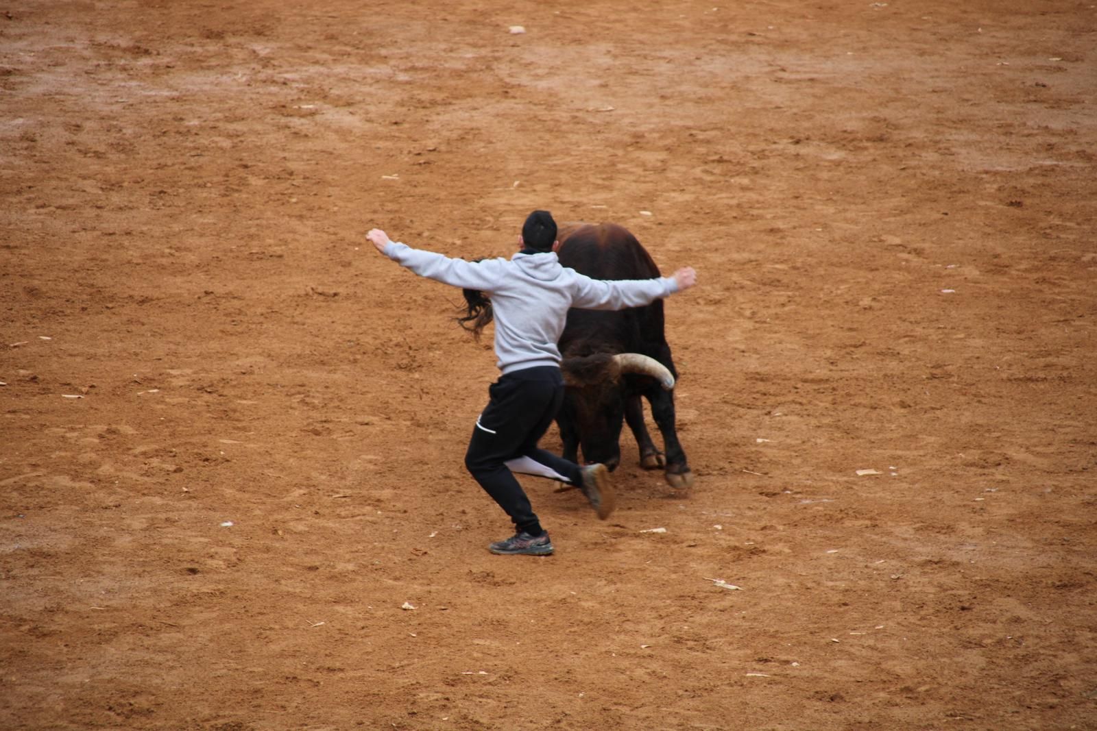 capea-matutina-del-martes-de-carnaval-33