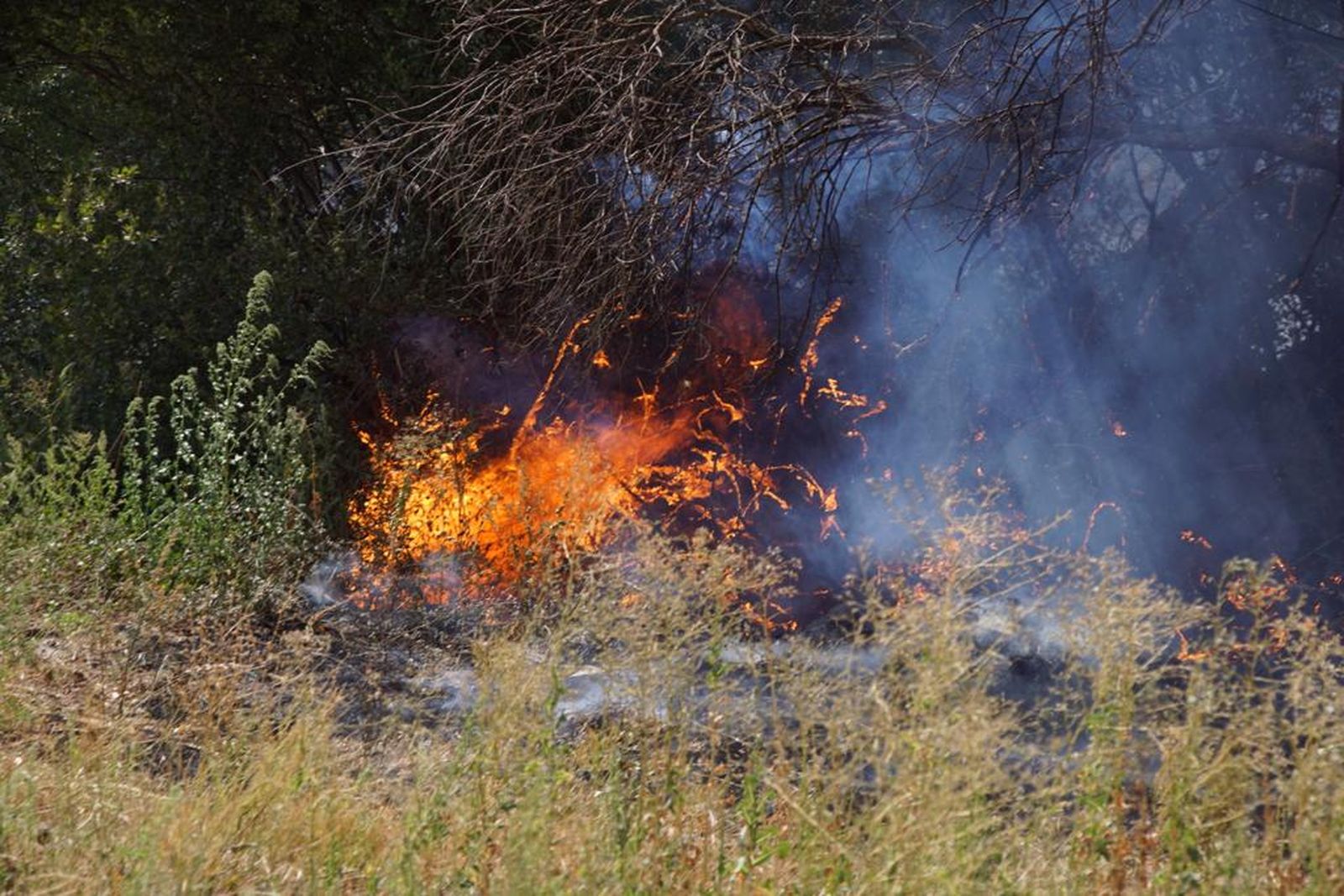Incendio forestal en Aldeaseca de Alba. FOTO de archivo