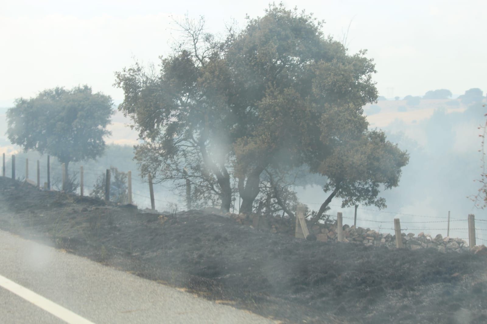 whatsapp-image-2024-09-02-at-14-28-38-1