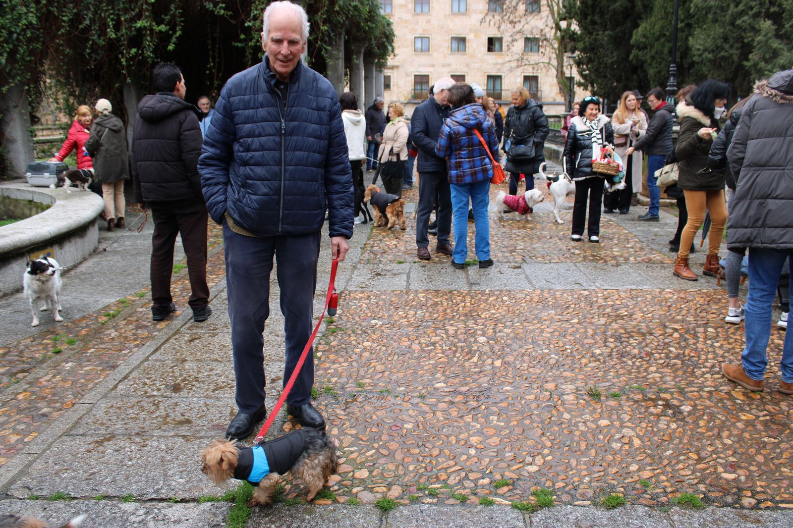 san-anton-bendicion-de-animales-2024-foto-s24h-13