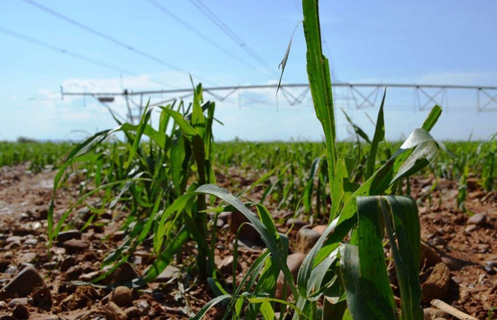 PLAN DE SEGUROS COMBINADOS UNION DE UNIONES 1068x688