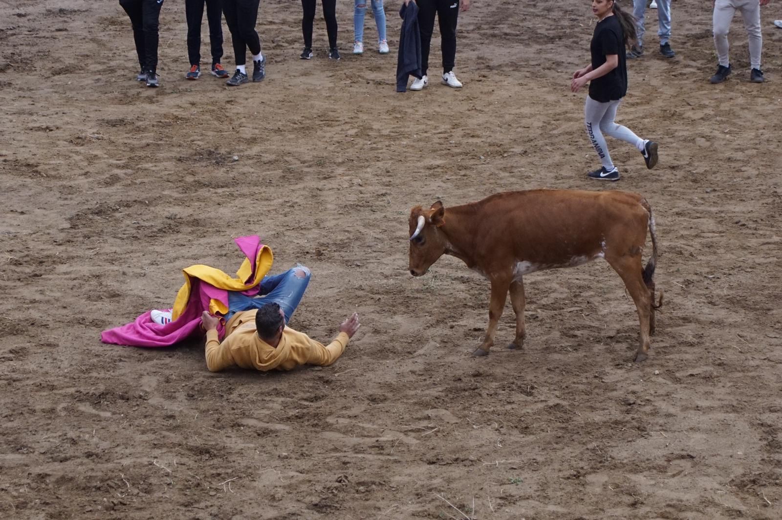 whatsapp-image-2023-05-22-at-20-19-29-1