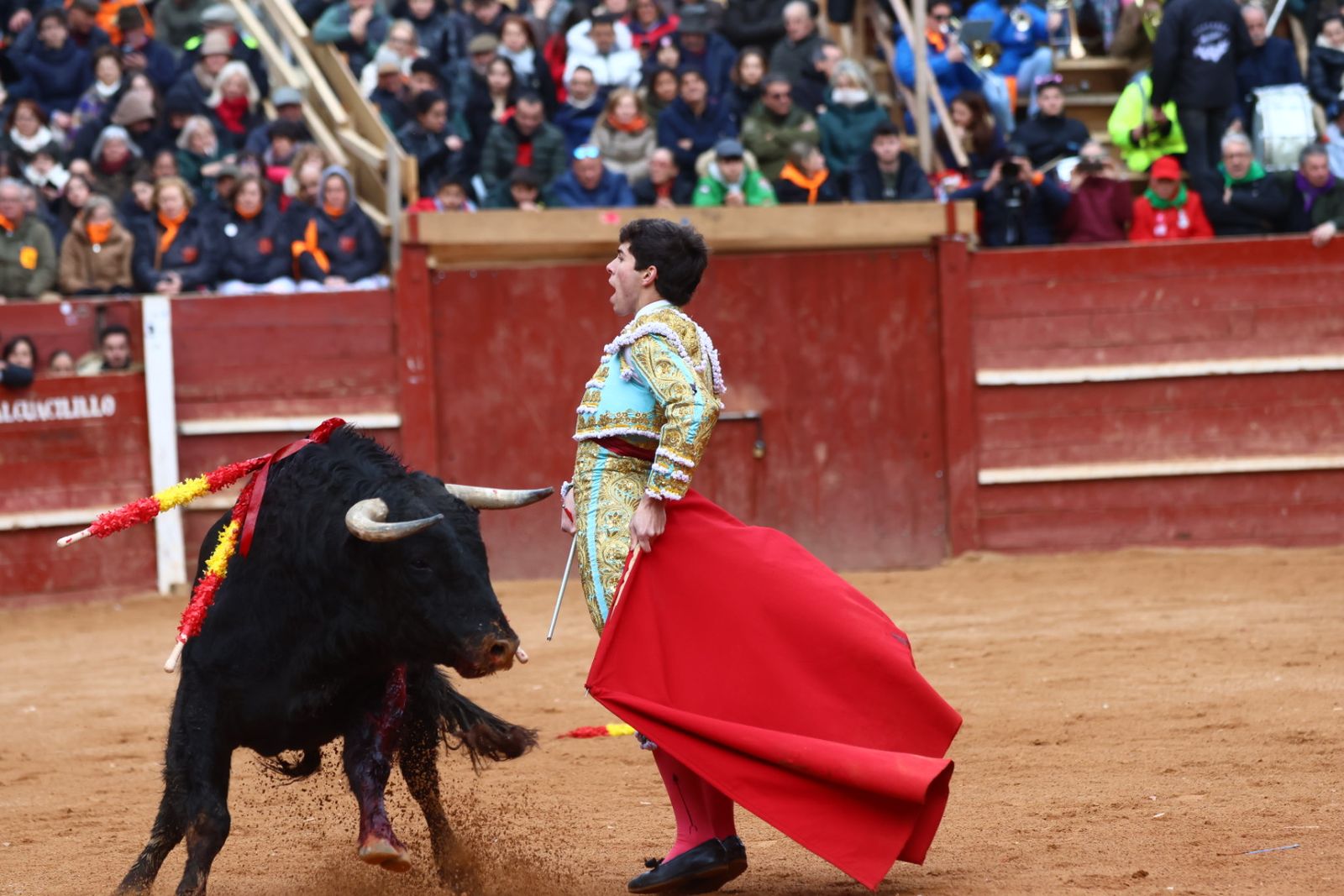 Novillada con picadores de lunes en el Carnaval del Toro de Ciudad Rodrigo 2026