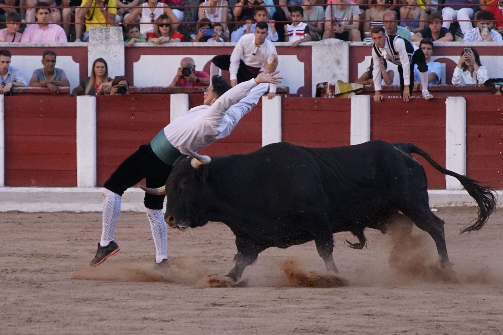 whatsapp-image-2023-07-02-at-22-40-51-1