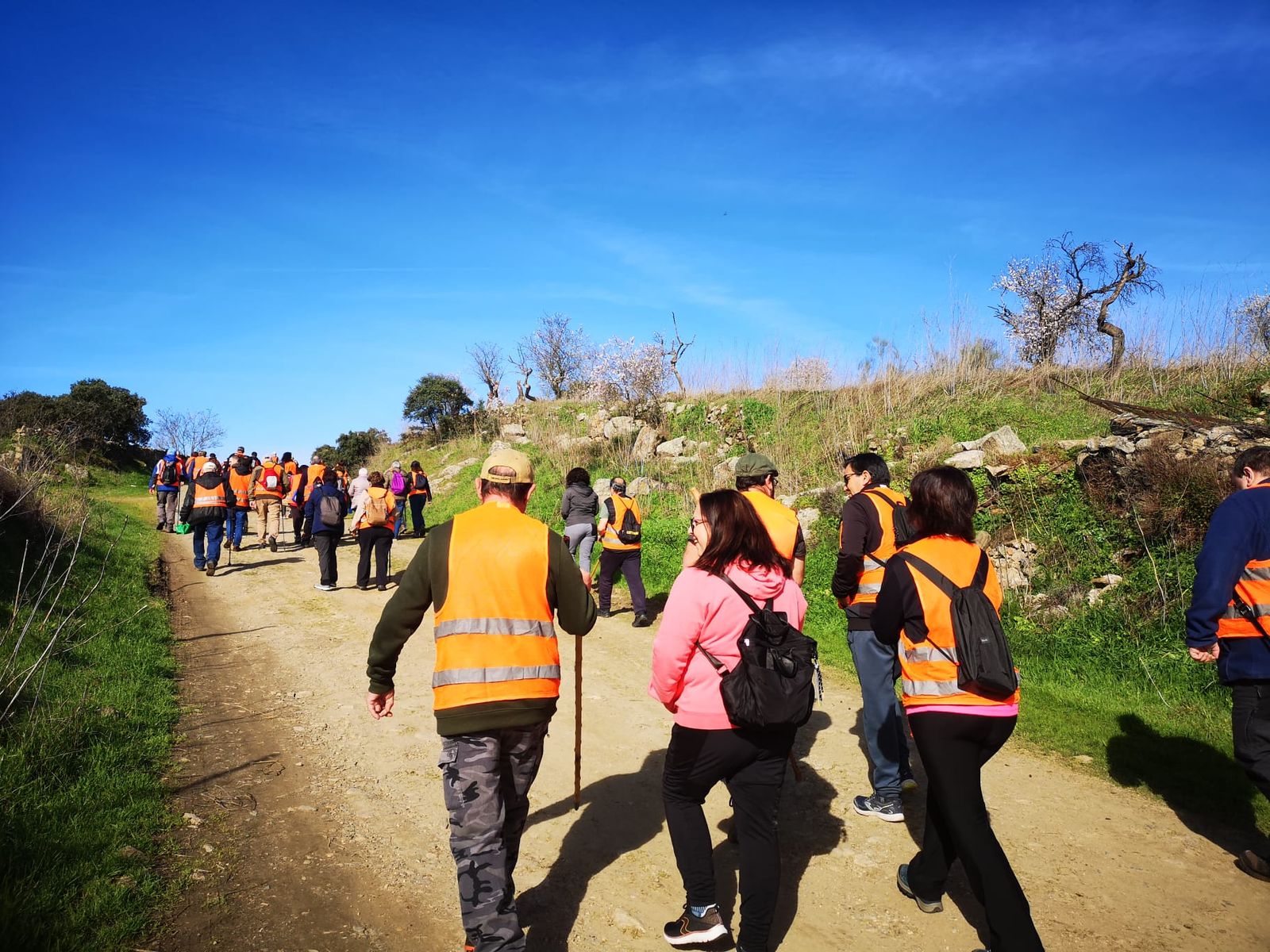 Más de un centenar de senderistas recorren La Fregeneda entre almendros en flor