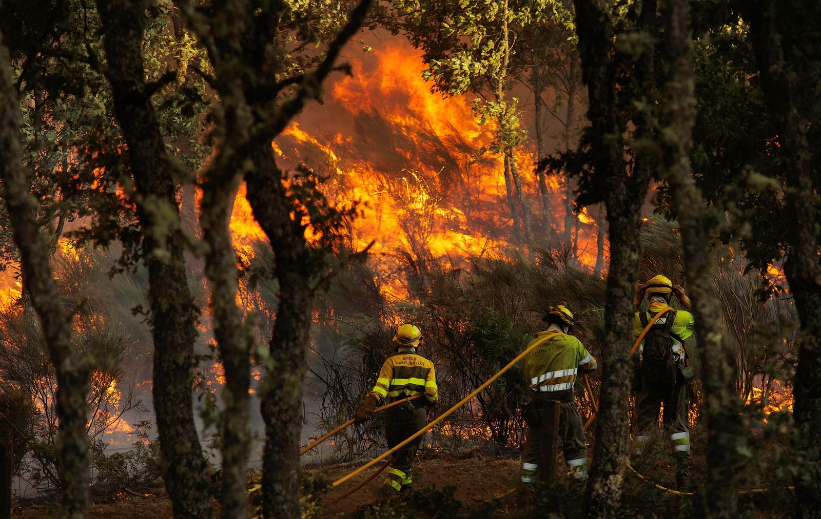 Incendio forestal en El Payo, ICAL José Vicente (1).jpg