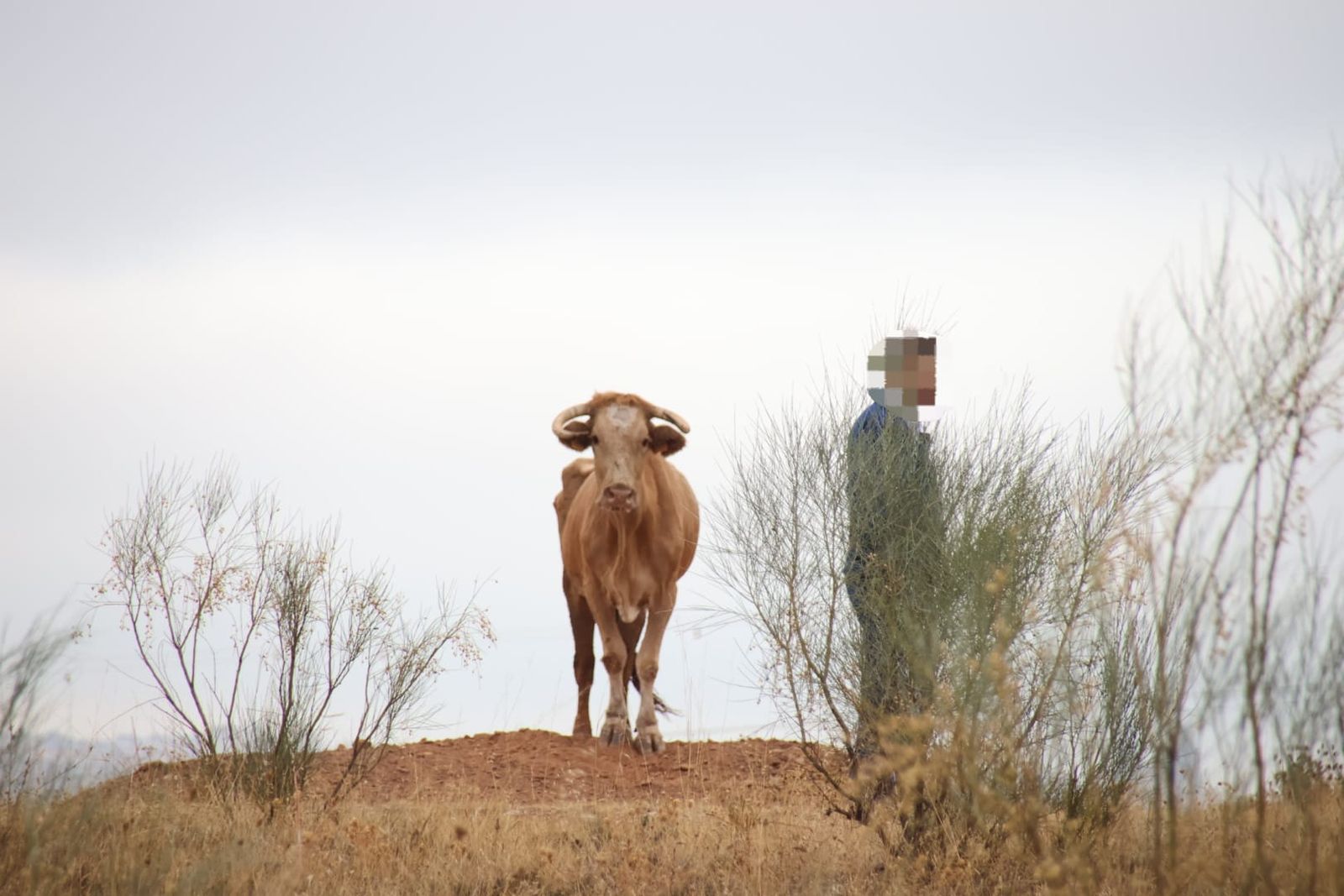 074b6d77-86b7-45b9-bdcc-afc30e2e7687