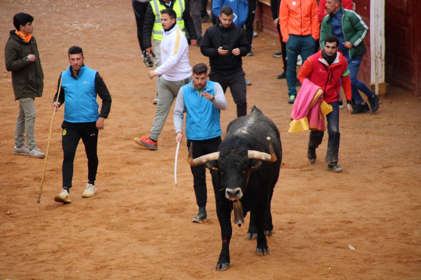 encierro-urbano-martes-de-carnaval-ciudad-rodrigo-2025-3