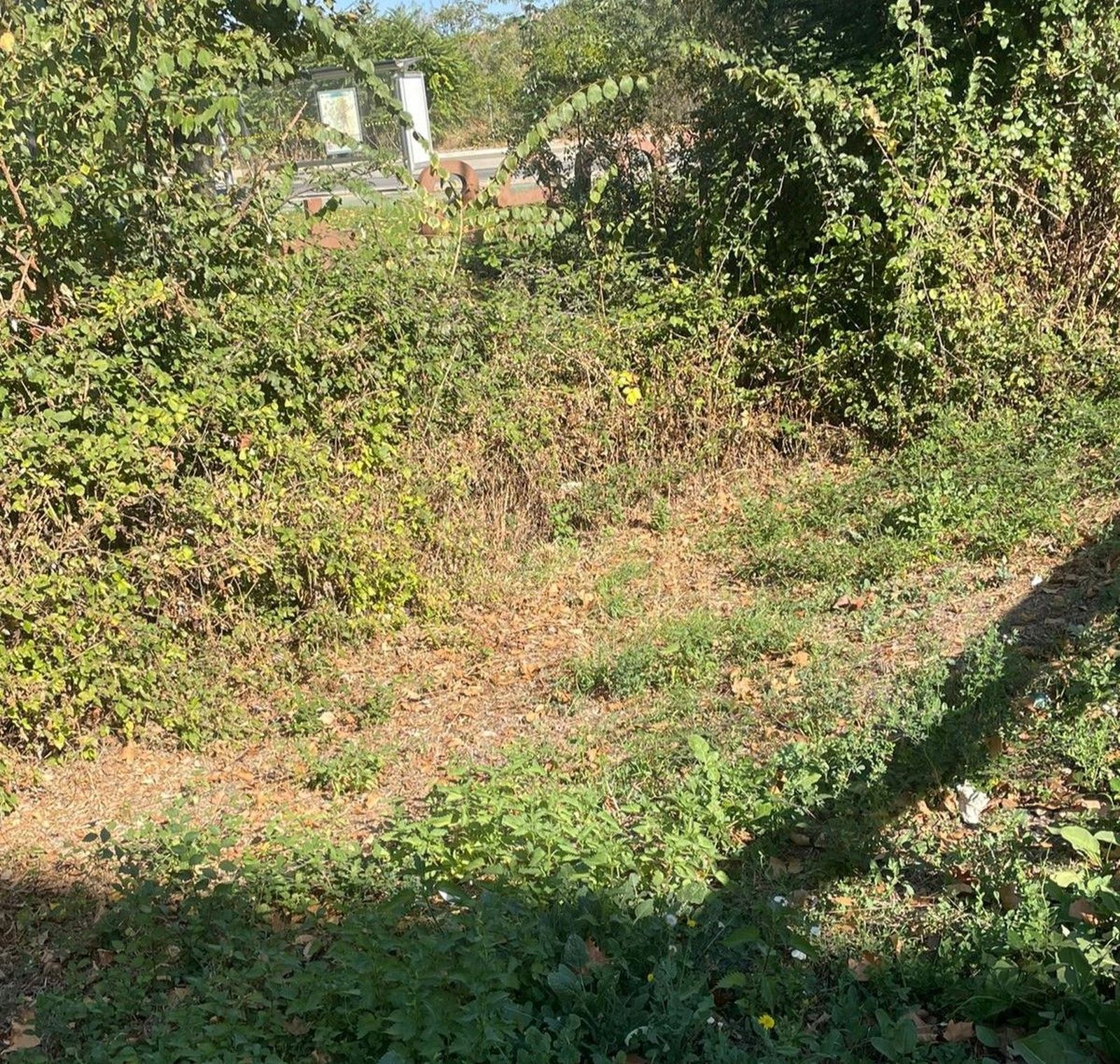 denuncian-el-estado-del-regato-situado-en-el-parque-lazarillo-de-tormes-de-tejares-3