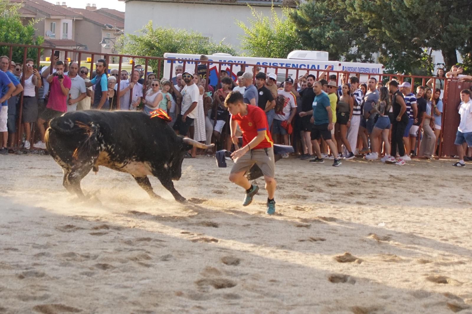 Pasión, tradición y calle: así se ha vivido en Ledesma el II Toro de Cajón