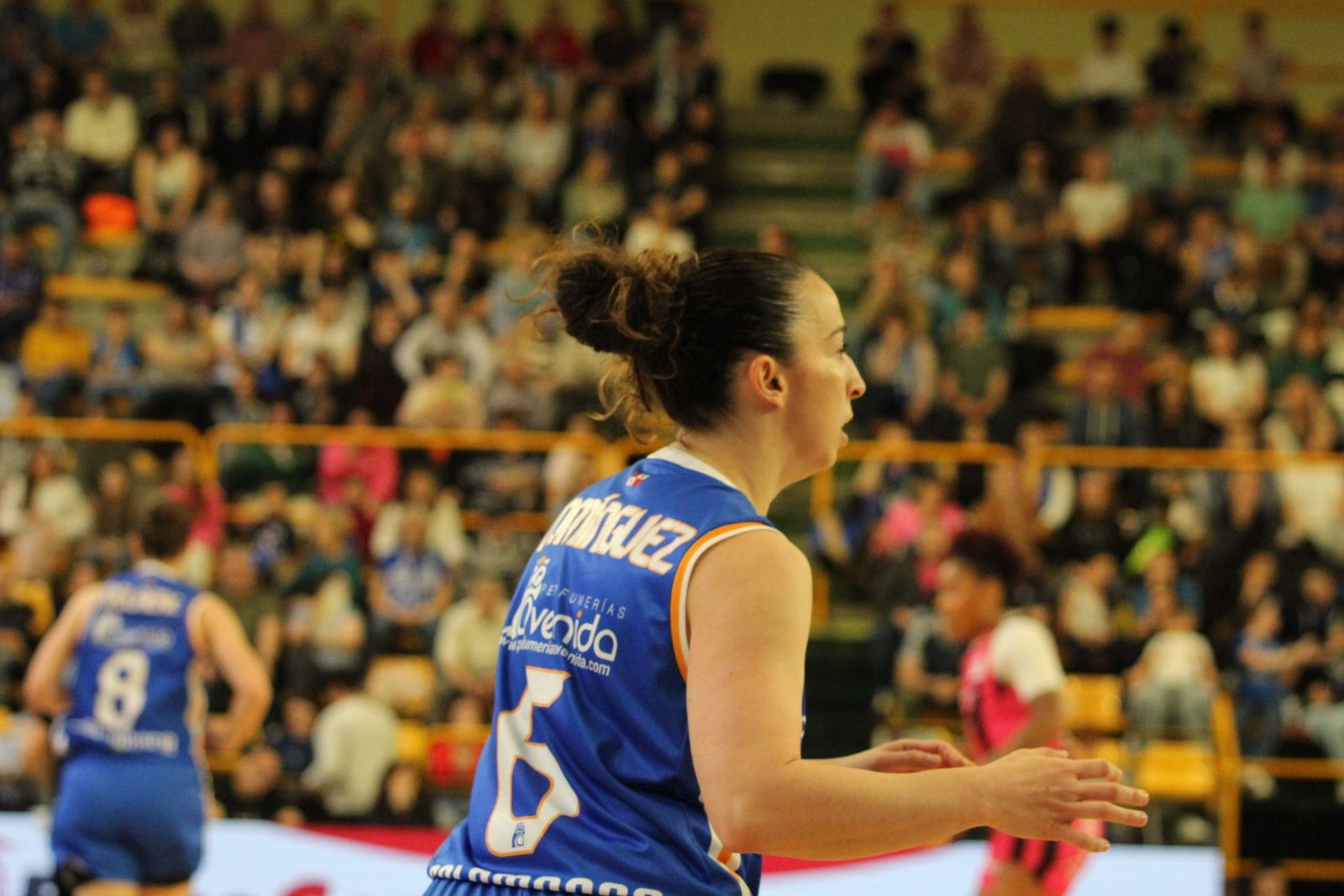 Perfumerías Avenida – Araski