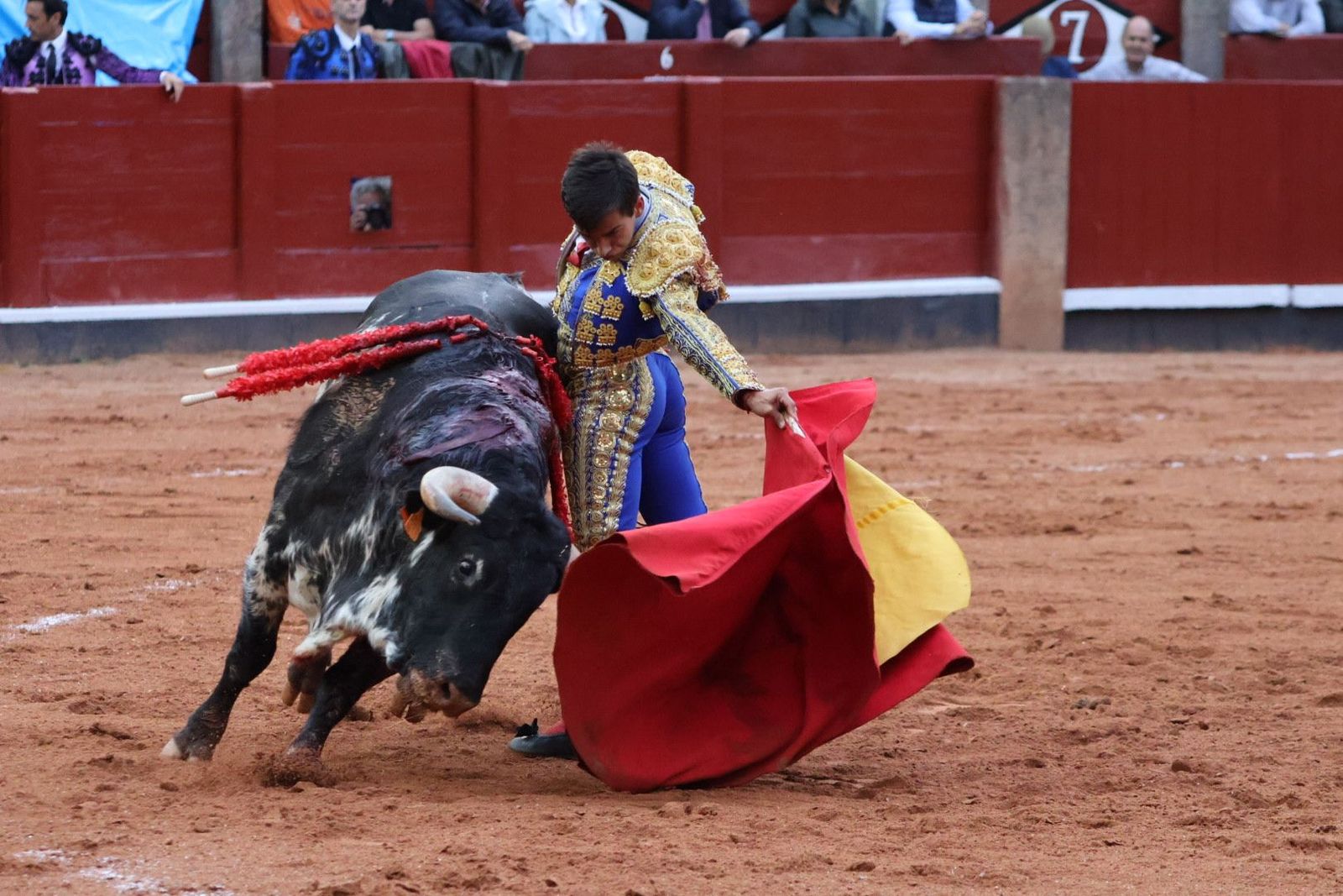 20230915185905-img-4276