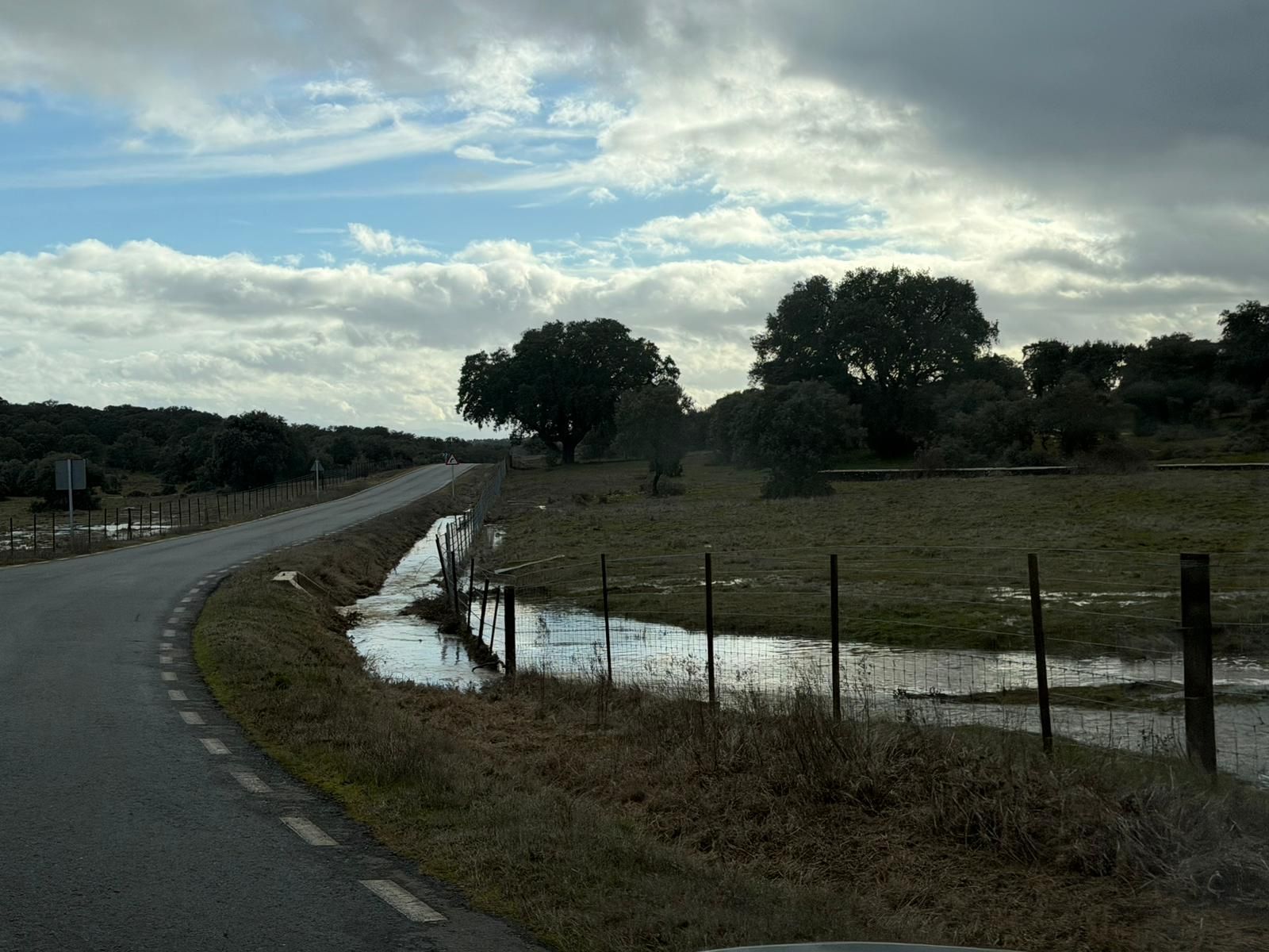 El campo anegado de agua en la zona del Campo Charro