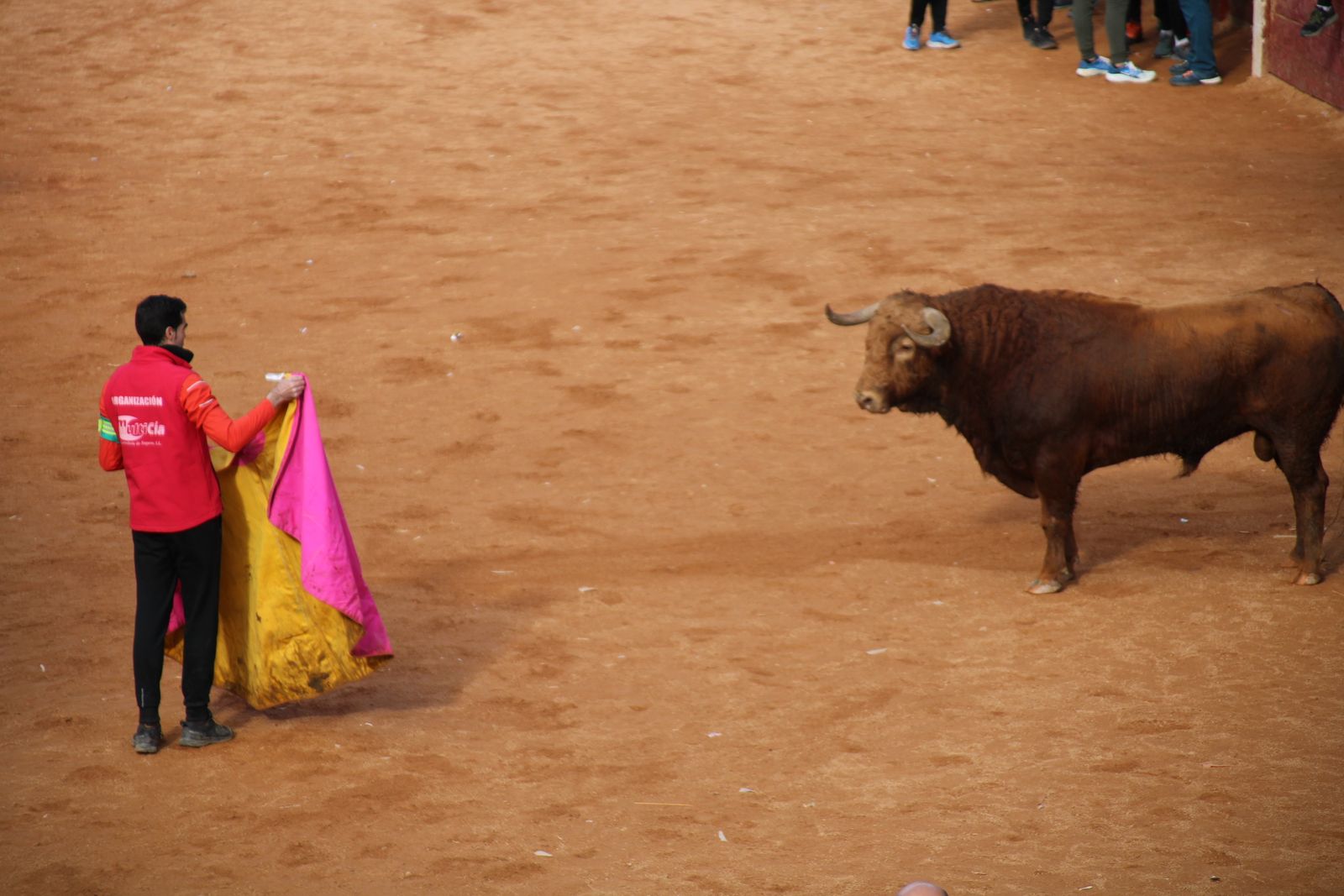 Encierro de martes en el Carnaval del Toro de Ciudad Rodrigo 2026