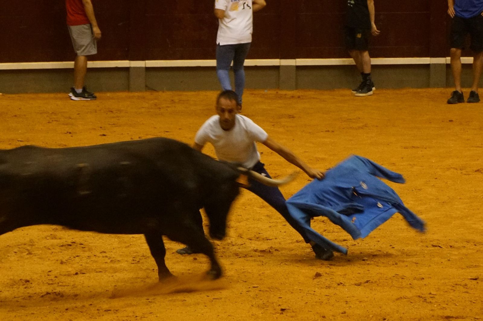 Multitudinario encierro nocturno en Alba de Tormes