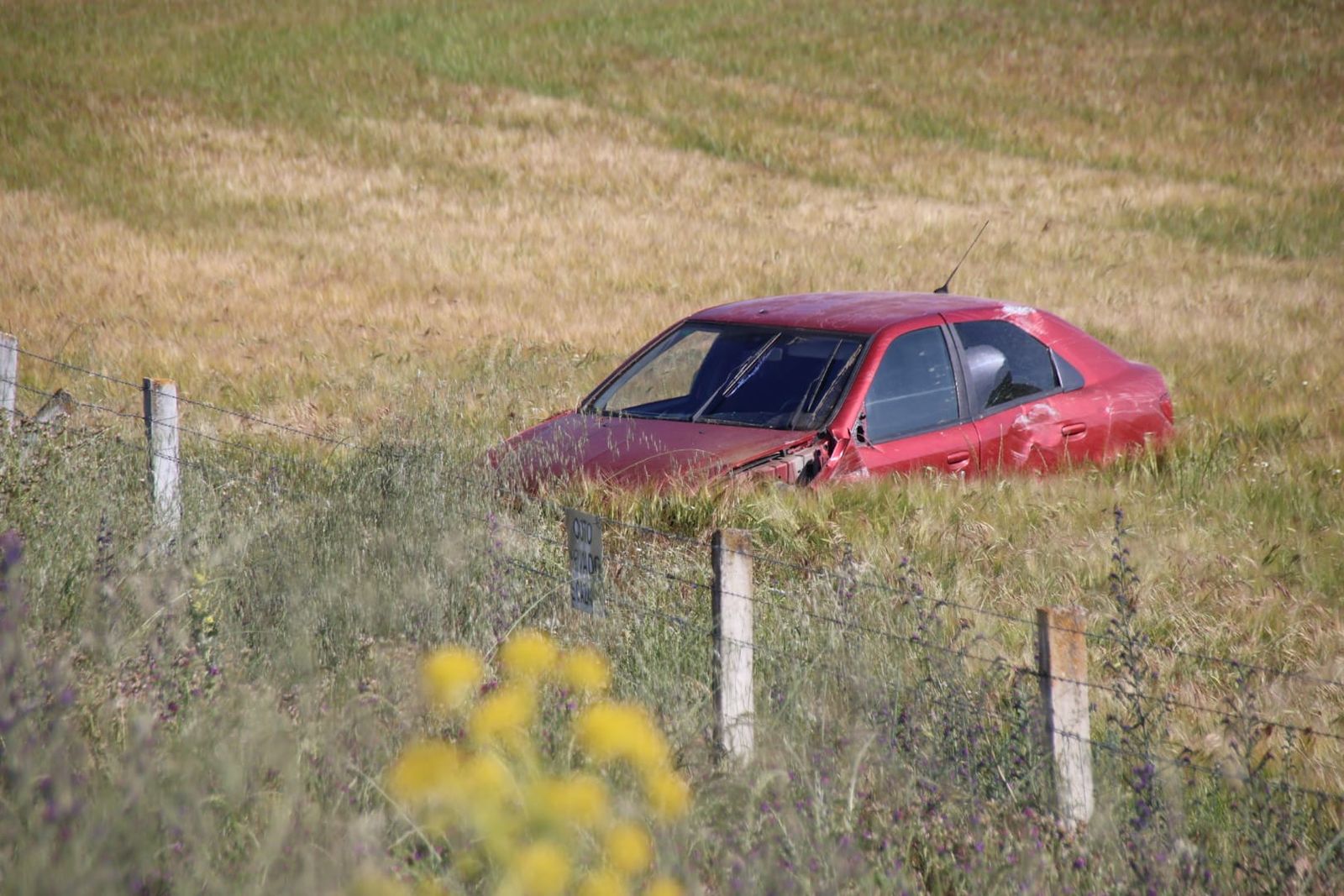 whatsapp-image-2024-06-06-at-09-57-26