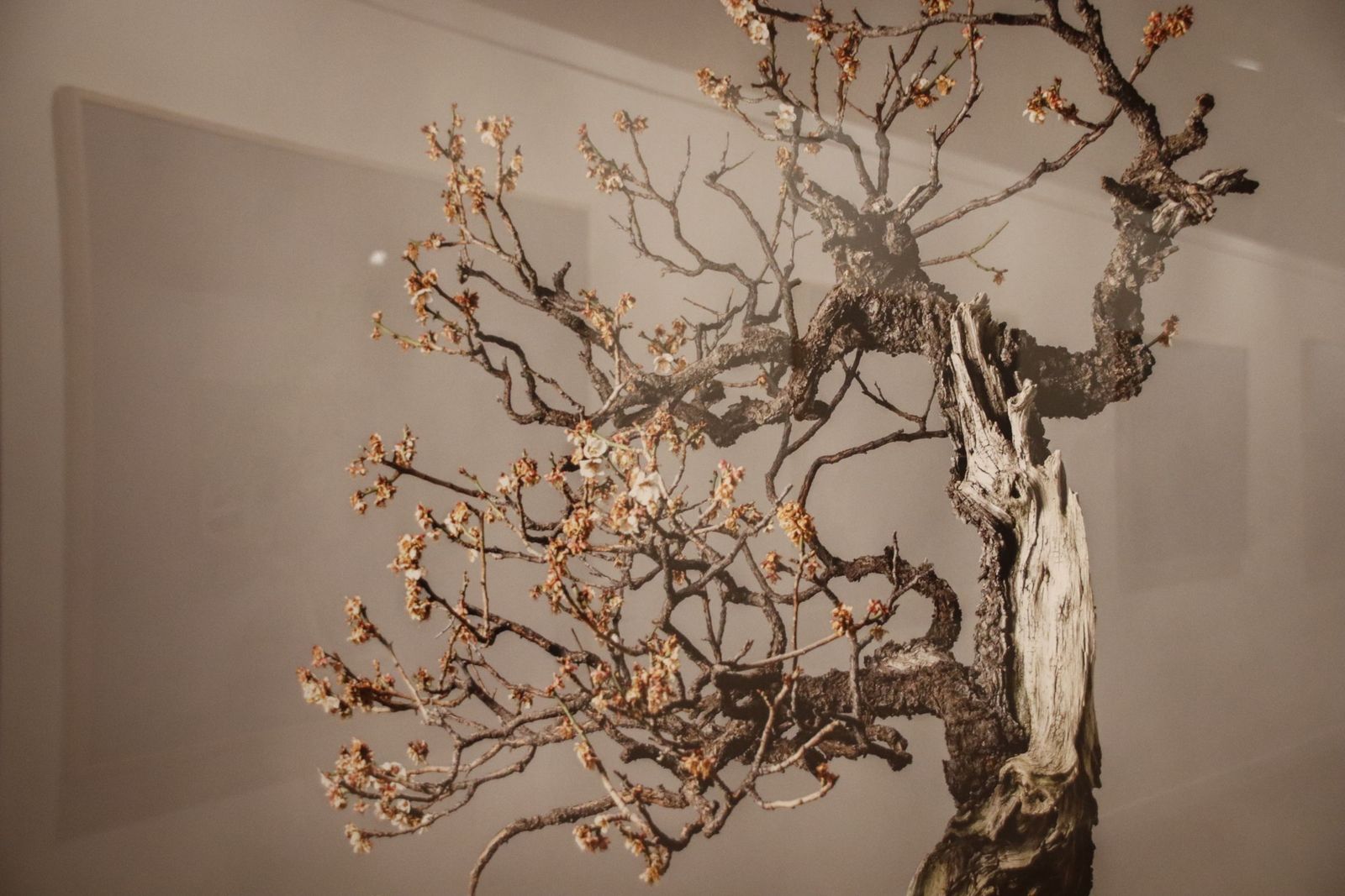 20220120105927-mg-4489