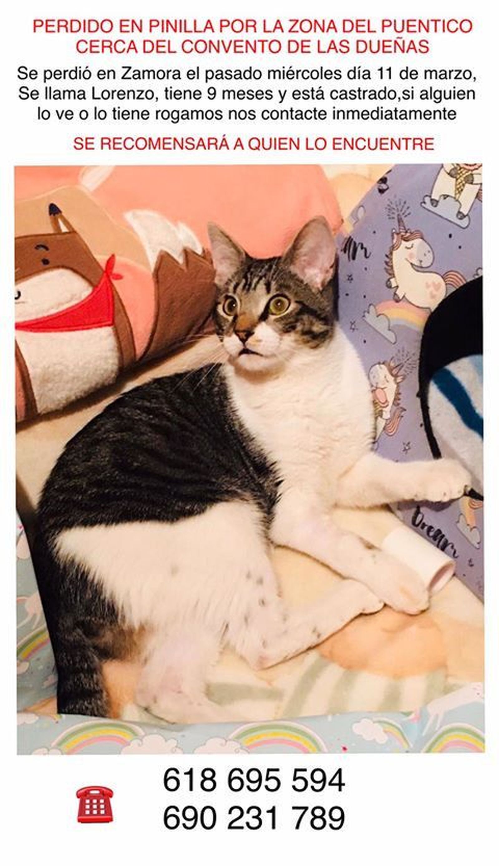 90156361 538149600166607 673409309614276608 n