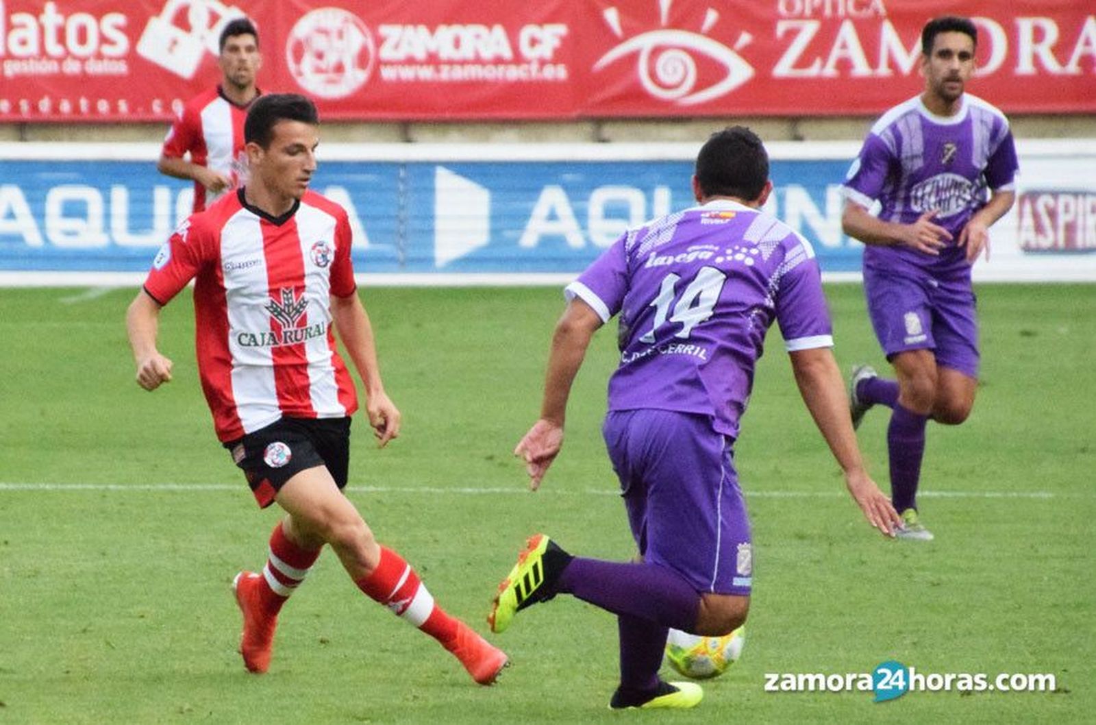 Zotes zamora becerril