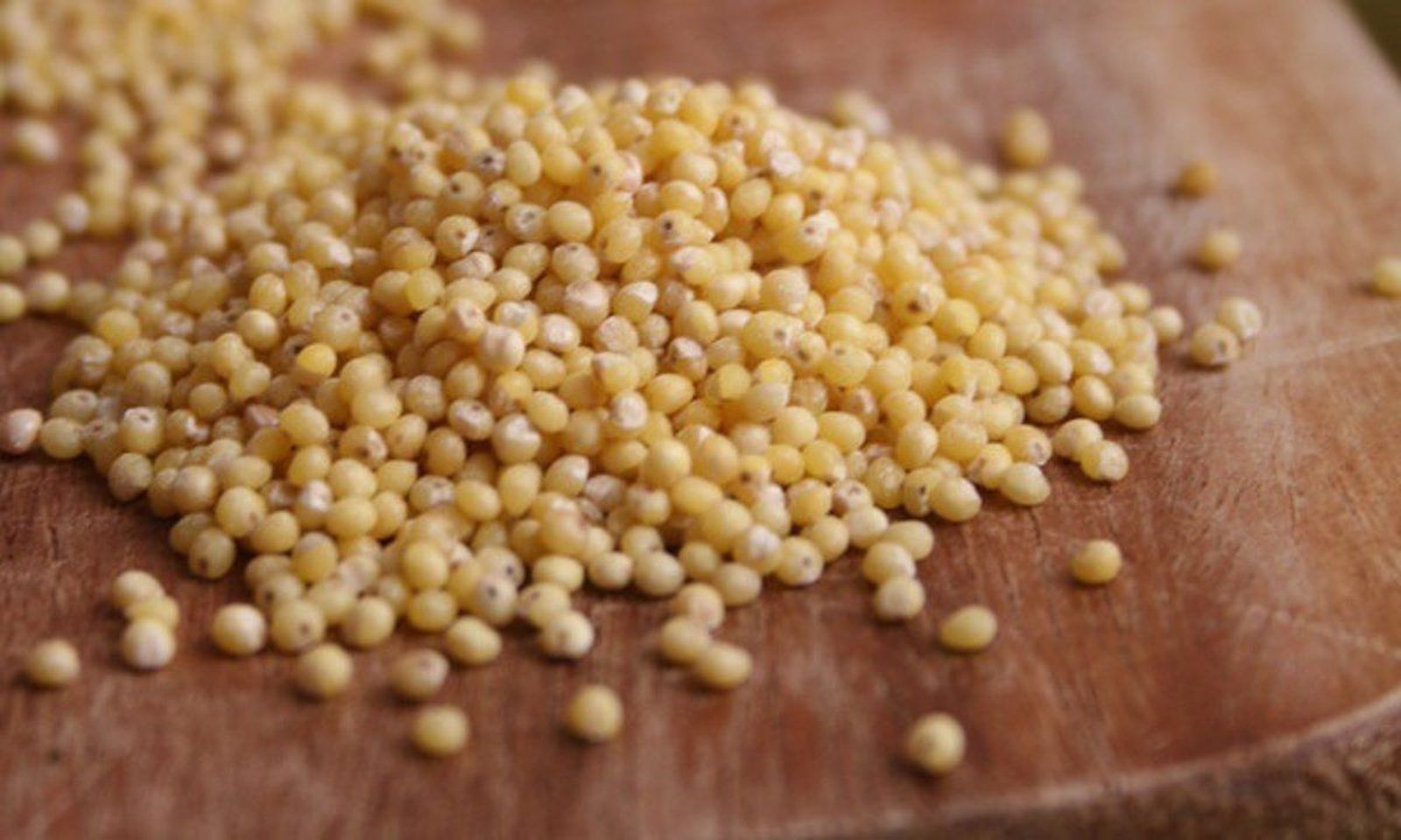 Incluye el mijo en tu dieta. | EP